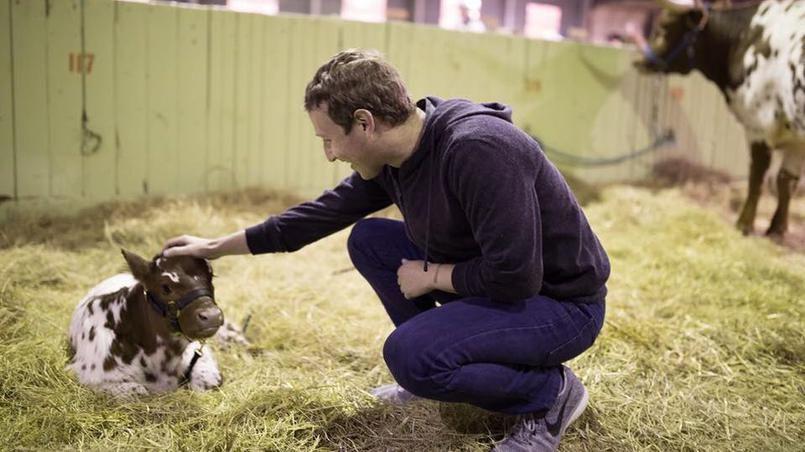 Mark Zuckerberg promet qu’il ne vise pas la Maison-Blanche