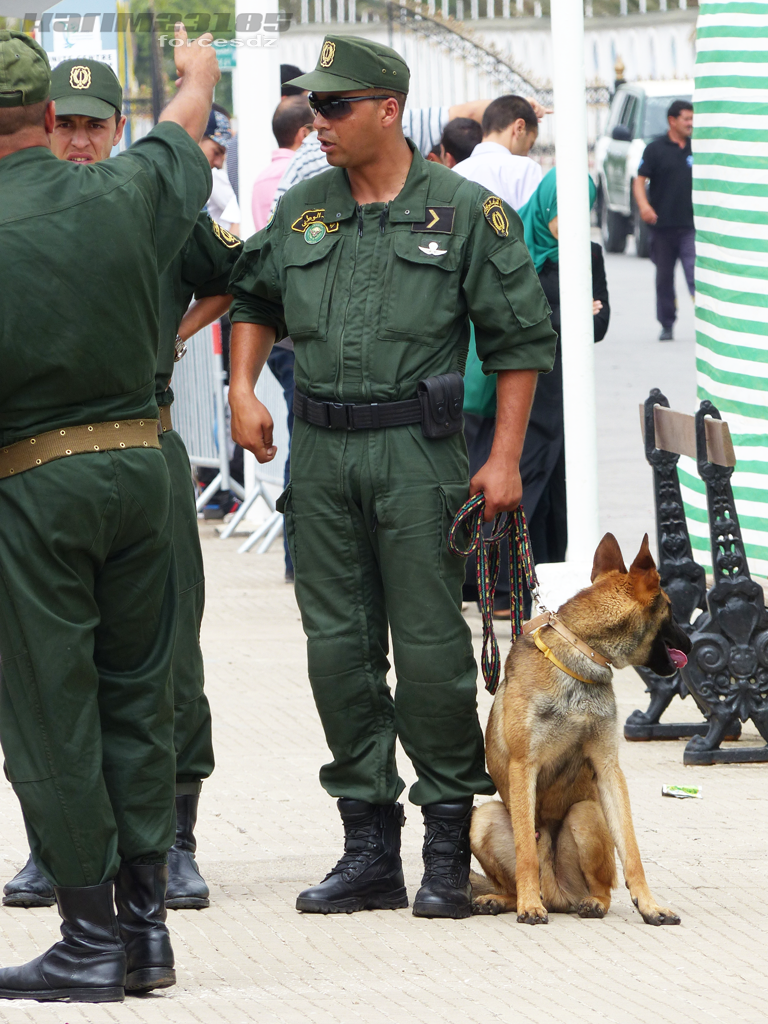 Six éléments de soutien aux groupes terroristes appréhendés