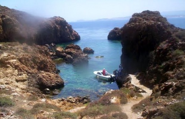 Oran: un projet pour le classement de « l’île Plane » comme aire marine protégée