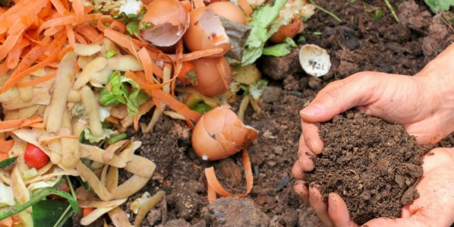 Chambre d’agriculture d’Oran: Projet-pilote pour l’expérimentation d’un compost issu de déchets organiques