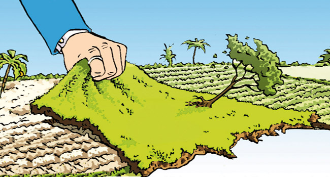 La mafia du foncier sévit à Tamanrasset: Le conservateur à l’index