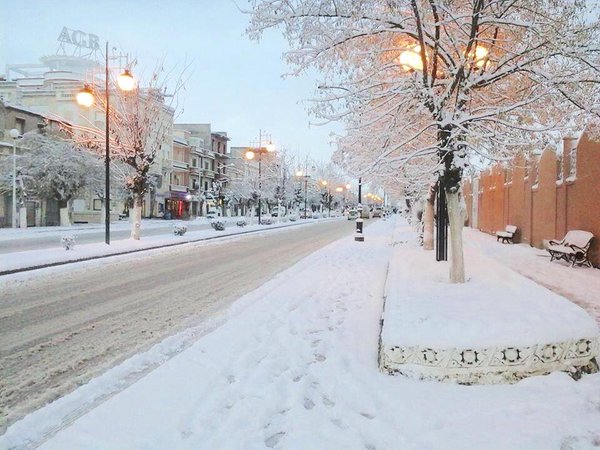 Froid, pluie et neige sévissent dans le monde: L’Algérie grelotte