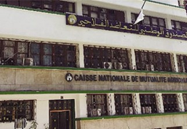 Le bon classement de la CNMA