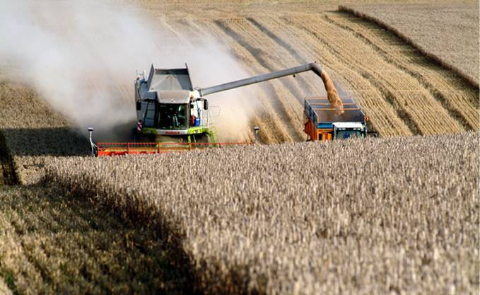 L’OAIC va s’impliquer dans la production pour réduire la facture d’importation de céréales.