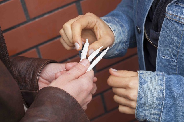 Lutte contre le trafic de stupéfiants: Vers la création de centres de veille.