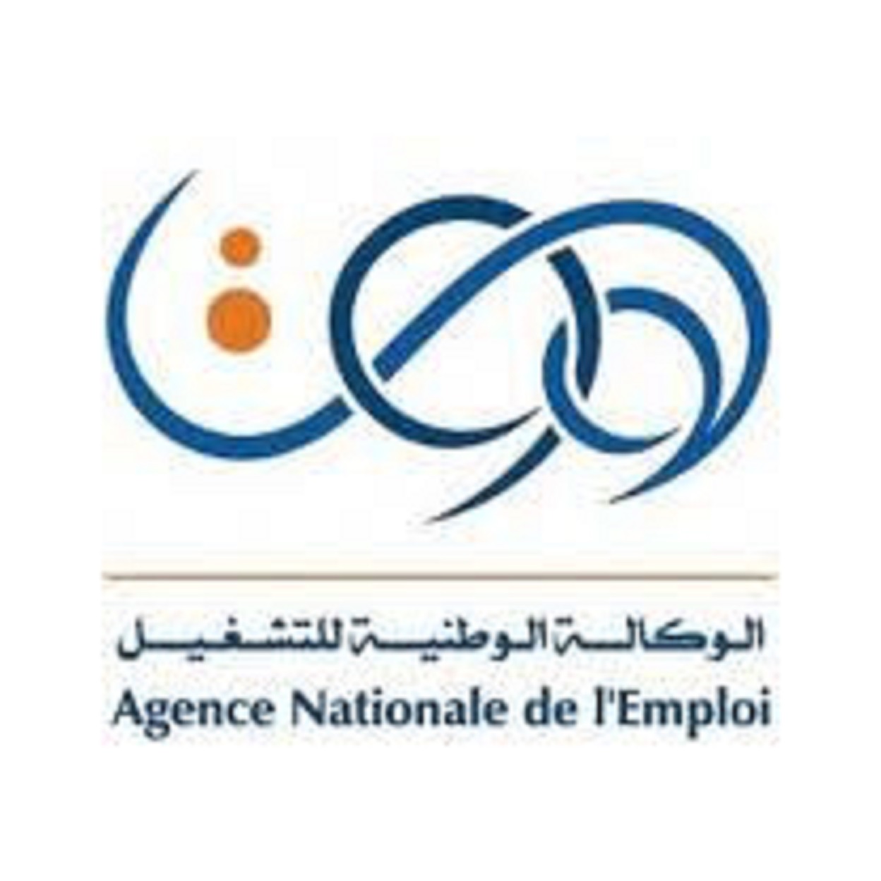 Création d’emplois en 2017 : 32% seulement des demandes Anem satisfaites