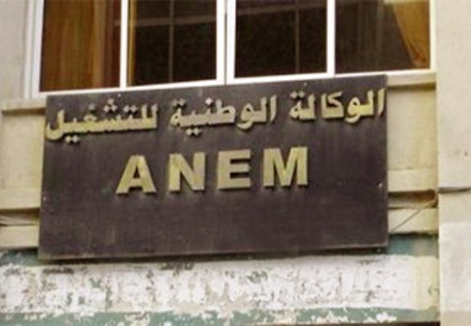 Algérie – Seuls 32,7% des demandeurs d’emploi ont pu être placés entre le 1er janvier et le 31 août 2017 (Anem)