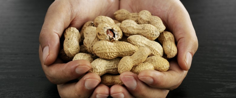 Des cacahuètes aux enfants permet d’éviter les allergies.