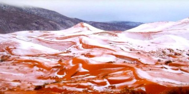 Algérie : il a neigé au Sahara !