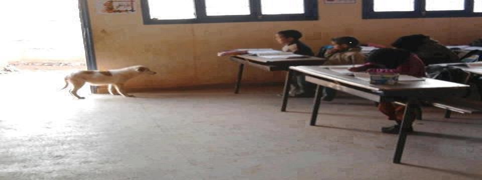 Relizane: Vingt écolières sauvées d’une mort certaine à Zemmoura