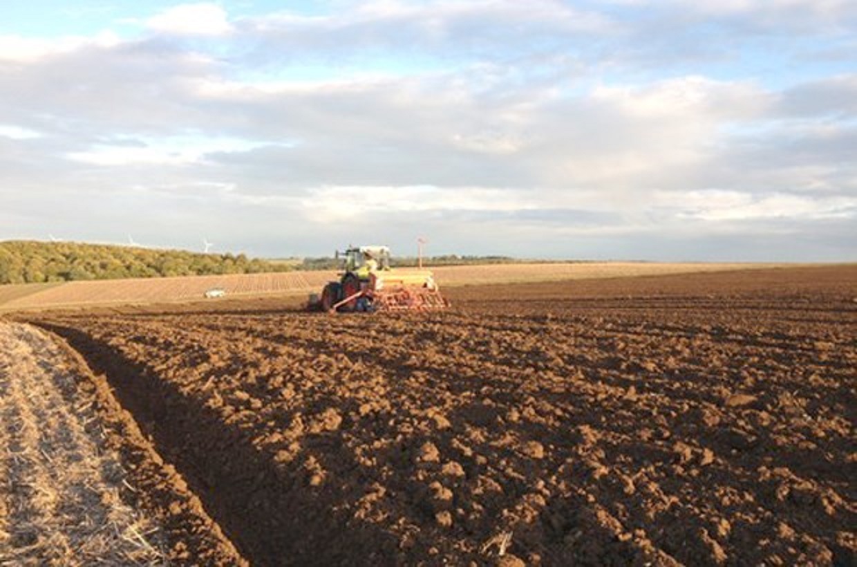 L’agriculture à Tipasa: L’exécutif de wilaya au chevet du développement agricole