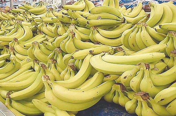 Bientôt la banane à 200 DA et l’ail à moins de 100 DA