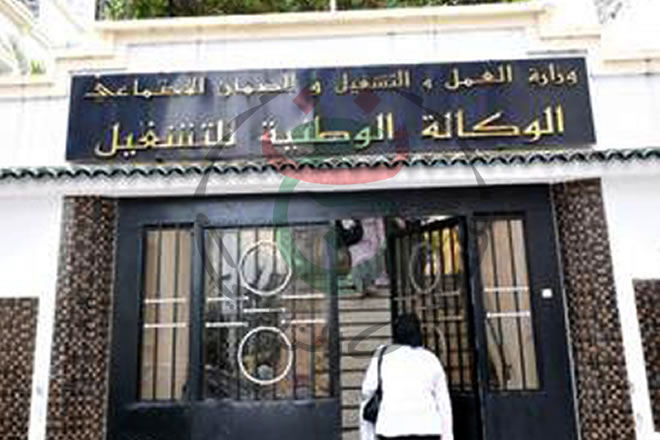 Alors que 6 142 offres d’emploi ont été enregistrées par l’Awem: 5 806 placements effectués en 2016 à Tiaret