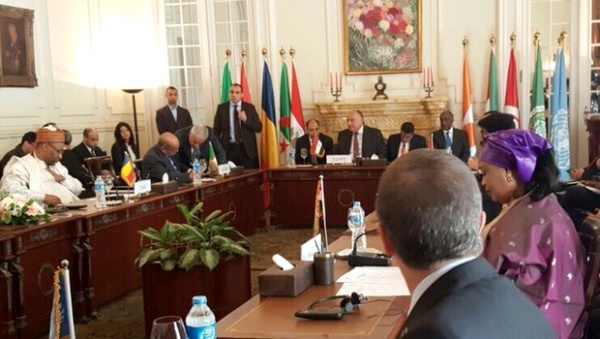 Début de la réunion des pays voisins de la Libye au Caire