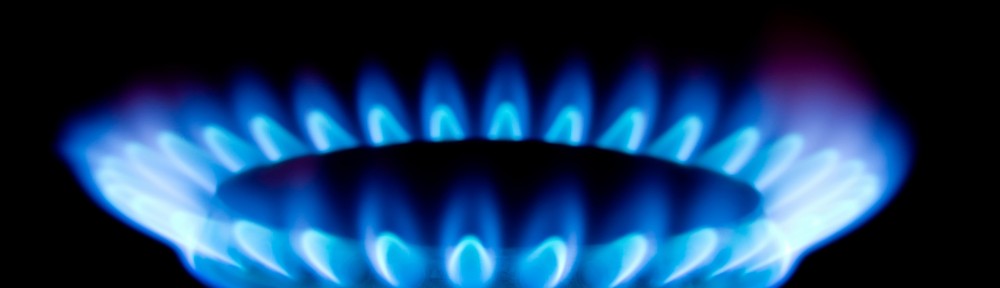 Alimentation en gaz naturel et butane: Le conseil de wilaya examine la situation