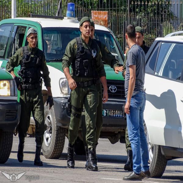 Un dangereux réseau criminel démantelé par la Gendarmerie à Zéralda
