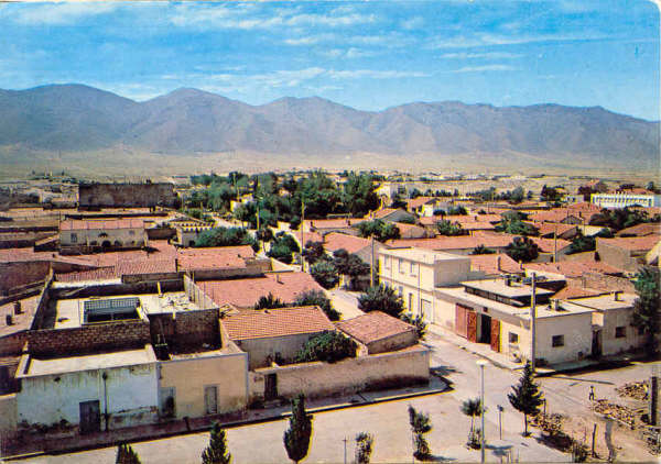 Naama: Journée d’études sur le foncier agricole