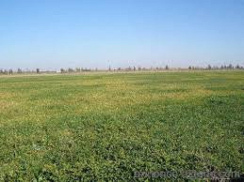 Mascara: Récupérer les terrains attribués aux faux investisseurs par «tous les moyens»