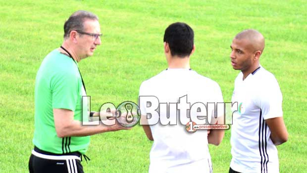 L’équipe type de Leekens prend forme