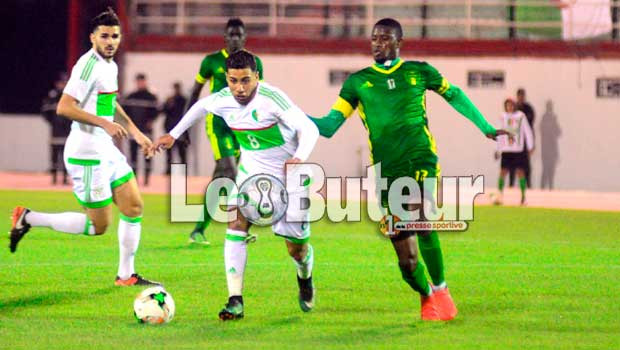 Les Verts se rassurent avant la CAN