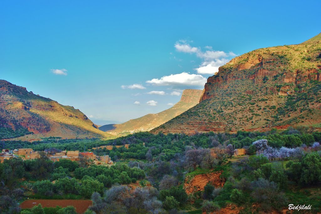 Tlemcen: Au fond de la steppe, l’espoir renaît