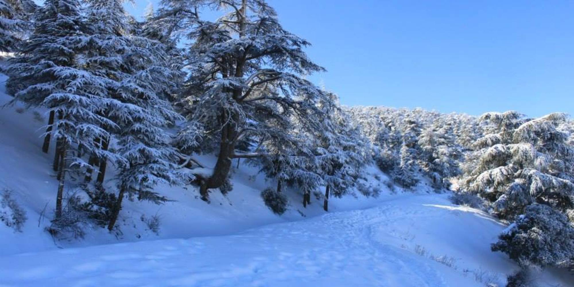 Importantes chutes de neige enregistrées à Naâma