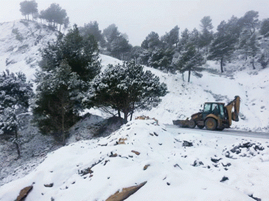 Premiers flocons de neige sur les wilayas de l’Est