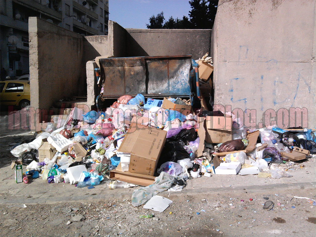 Sidi Bel-Abbès: Pourquoi les poubelles demeurent un casse-tête
