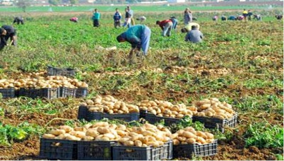 Après la rareté des produits alimentaires suite aux intempéries: Le Syrpalac à la rescousse