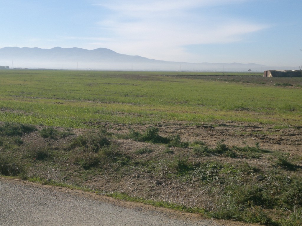 360 projets d’investissement agricole validés dans la wilaya de Tébessa, depuis juin 2016