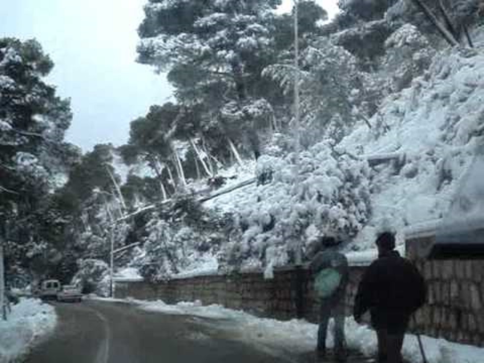 Brèves hivernales de Tlemcen