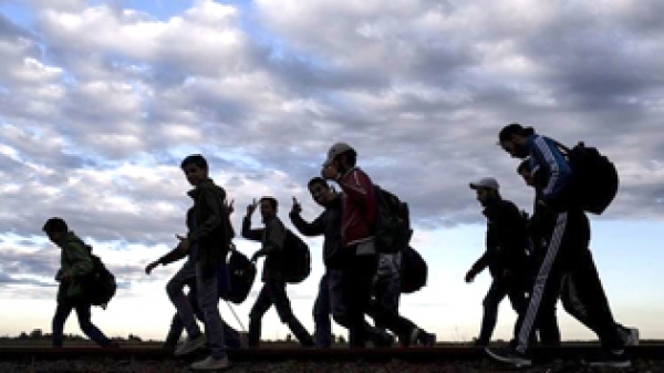 Harga Entre rêve risqué : de meilleur et désenchantement