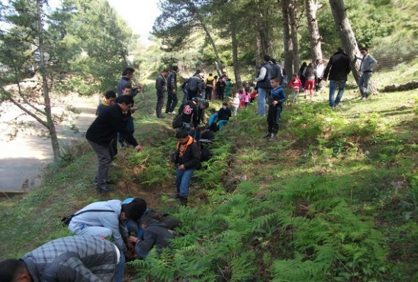 Un rapport sur la situation de l’environnement bientôt soumis au Gouvernement