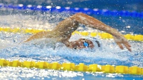 Championnat d’Algérie « Open » d’hiver: plus de 200 nageurs à Alger