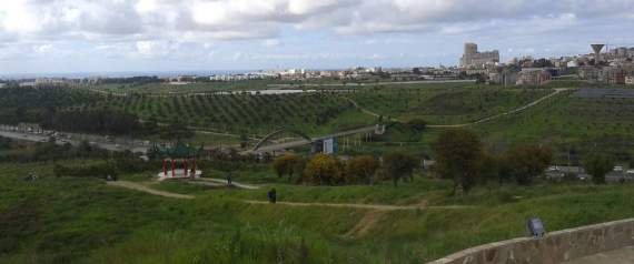 « Dounia Parc », choisi pour abriter le projet de fermes pilotes dans la wilaya d&rsquo;Alger