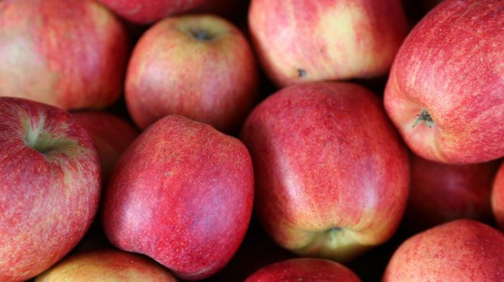 La réduction des importations profite à la pomme produite localement