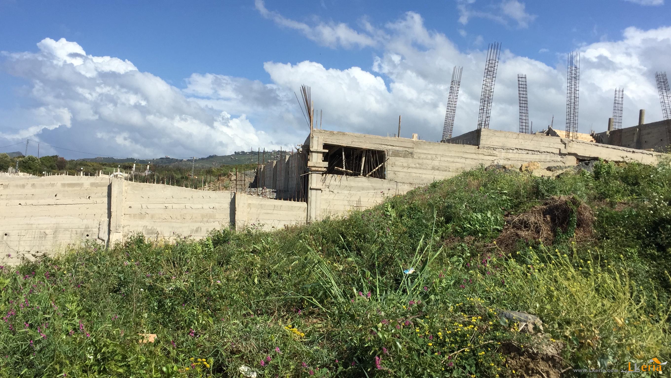 Aïn Defla:  L’absence de terrain à bâtir ralentit le programme de logements