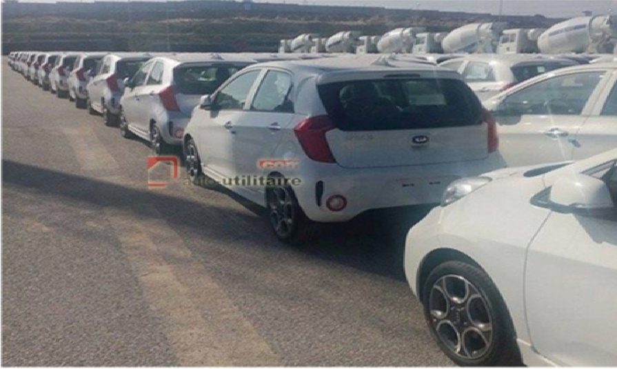 Glovis : Les premiers modèles Kia débarquent au port de Jijel