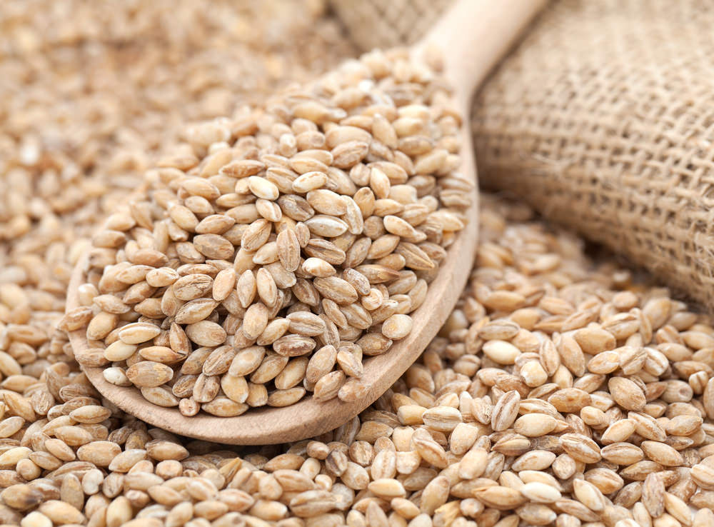 C’est une des conséquences de la suppression de la subvention de l&rsquo;orge: Vers une flambée des prix des viandes rouges ?