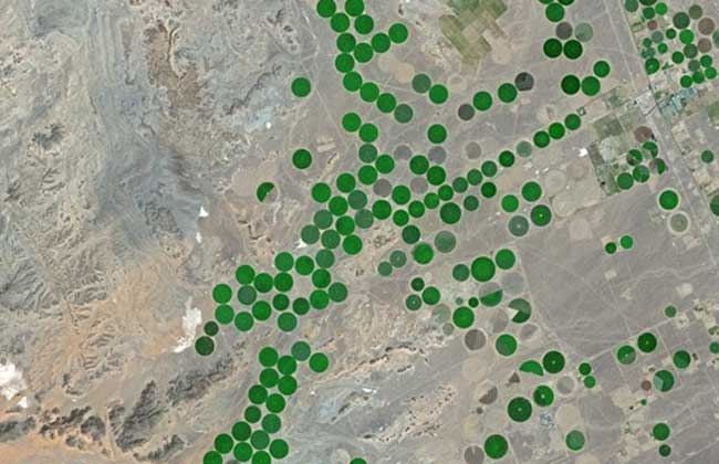 Pourquoi l’option des mégaprojets agricoles dans le sud de l’Algérie est néfaste (Opinion)