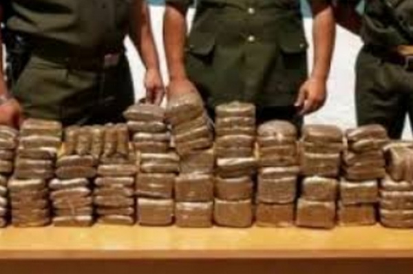 Oran: Saisie de trois quintaux de kif et arrestation de l’un des fils de Zanjabil