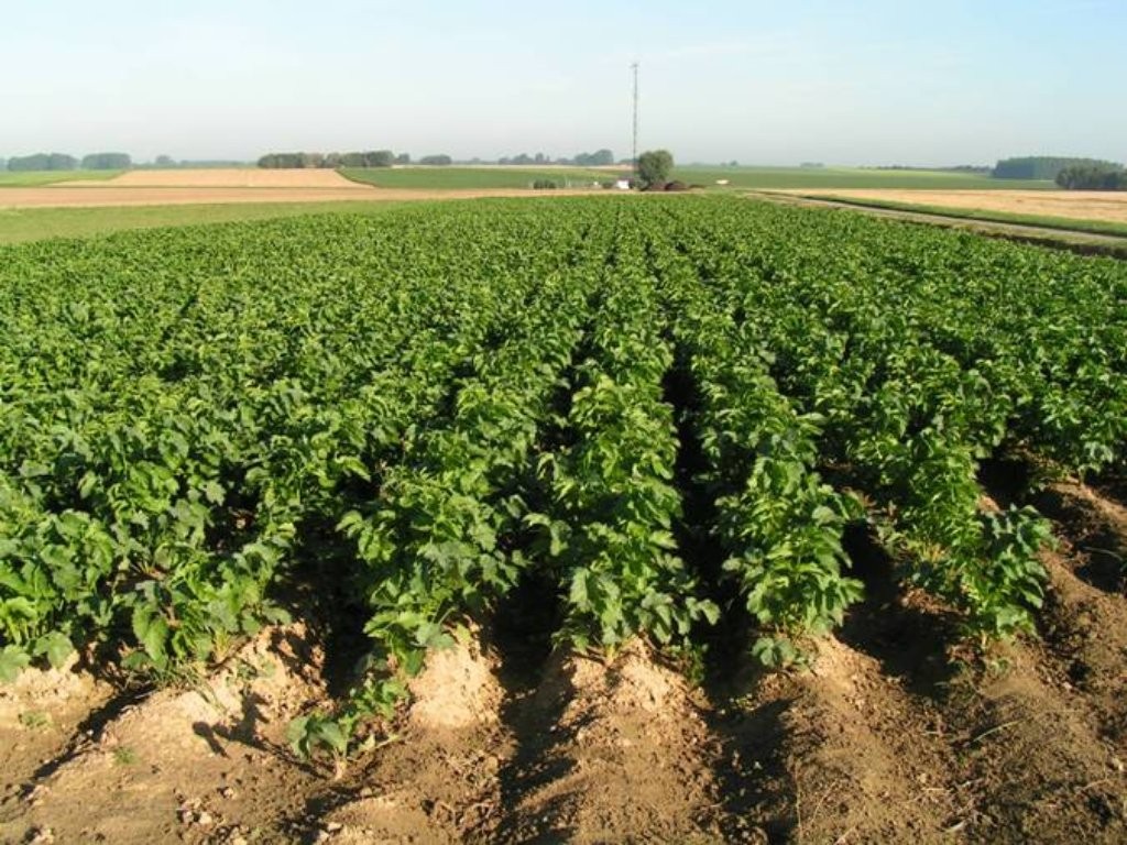 Bilan des dégâts causés à l’agriculture par les dernières intempéries