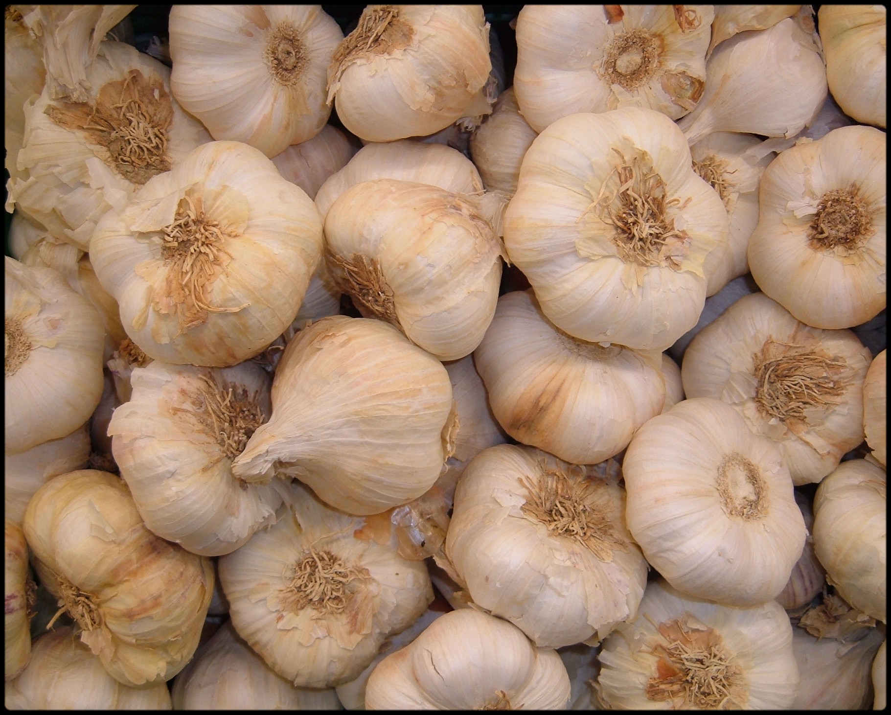 Marche de légumes et fruits à Tebessa:  Recherche ail local désespérément