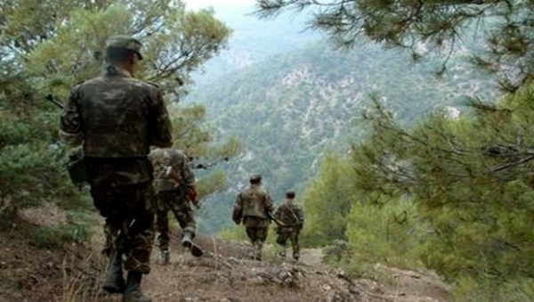 Deux casemates pour terroristes détruites par les forces de l’ANP à Béjaïa (MDN)