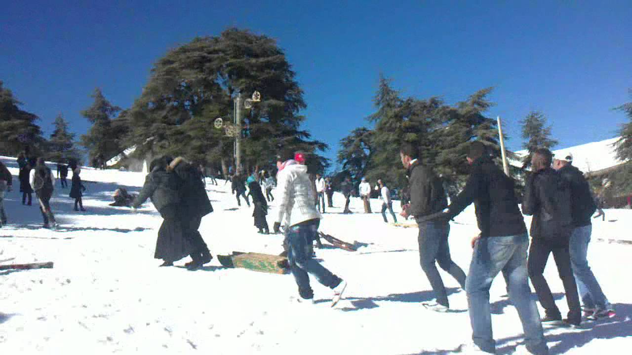 Blida: Les citoyens appellent à la création d’un centre permanent de la Protection civile à Chréa