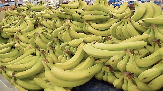 Plus de 10 tonnes ont été saisies: La contrebande de la banane explose