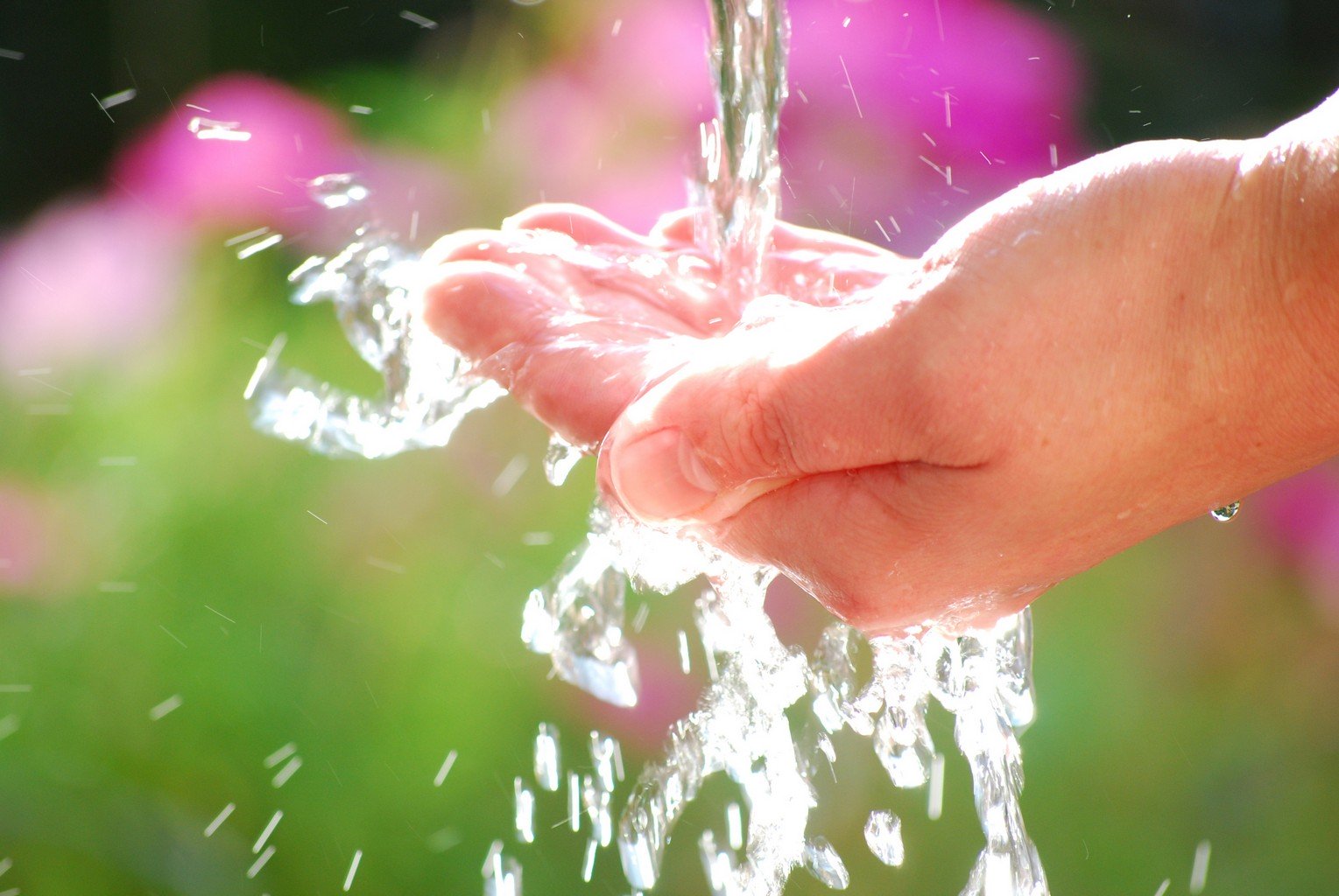 Plus de 200 participants au salon international de l&rsquo;eau et de l&rsquo;environnement d&rsquo;Alger