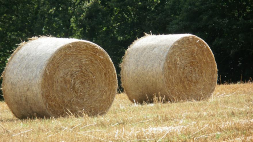 Relizane: 250 bottes de foin ravagées par le feu à Yellel