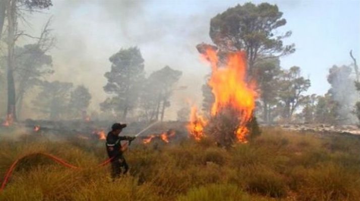 Relizane: Plus de 890 bottes de foin ravagées par les flammes