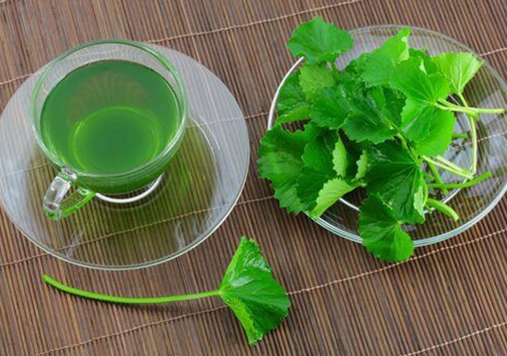 Infusion naturelle pour traiter le gonflements des jambes